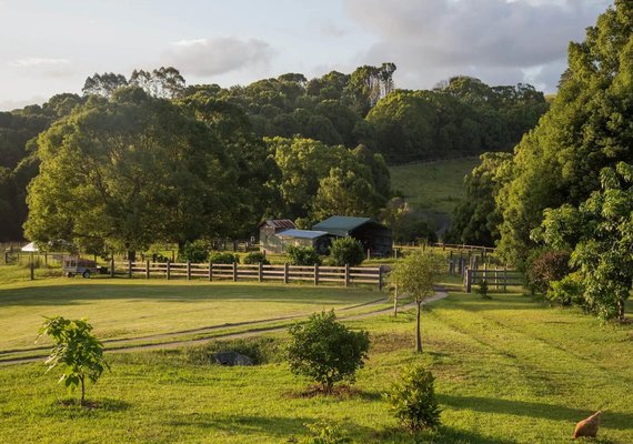 rural-farm-shutterstock_1261696780